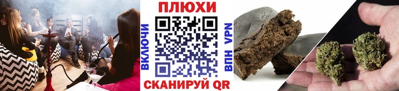 ГАШ Premium  Правдинск 