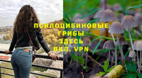 прущая мука Киреевск