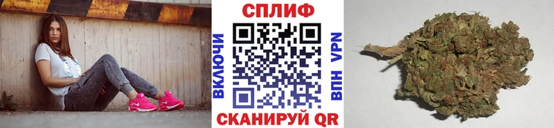 Бошки Шишки ГИДРОПОН  shop состав  Правдинск 